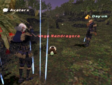 Ninja Practice